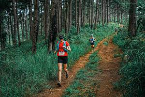 BIB: 
                            <button type="button" onclick="openModal(25695660)" class="btn btn-primary btn-sm float-right btn-popup" data-toggle="modal" data-target=".modal-high-quality">
                        <i class="fas fa-shopping-cart"></i> Add to Cart
                    </button>
                                            <button type="button" onclick="isThisMe(25695660, true)" class="btn btn-success btn-sm float-right btn-popup btn-isme hidden" data-toggle="tooltip" data-placement="bottom" title="นี่คือรูปของคุณใช่ไหม คลิกที่นี่เพื่อเอาเข้าอัลบั้ม">
                        <i class="fas fa-plus"></i> Add to album
                    </button>
                    <button type="button" onclick="isThisMe(25695660, false)" class="btn btn-warning btn-sm float-right btn-popup btn-isnotme hidden">
                        <i class="fas fa-ban"></i> Remove from album
                    </button>